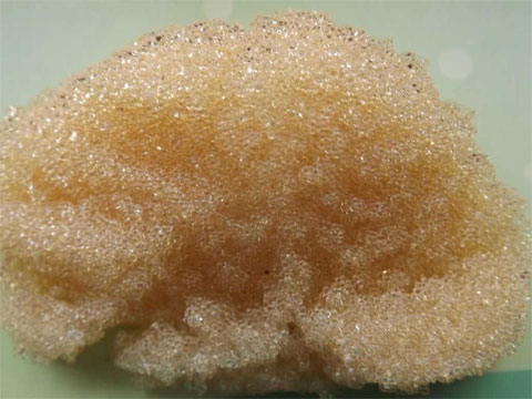 �x�ӽ��Q��(sh��)֬