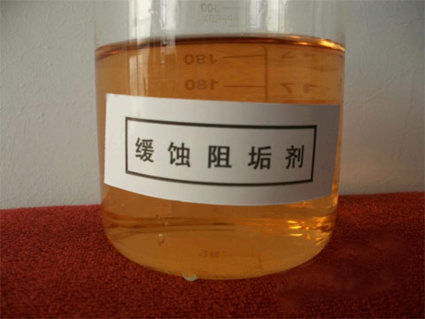 ���g�蹸��