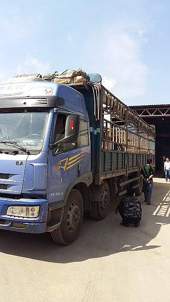 �ֵ��ۺ��Ȼ��XPAC�l؛����