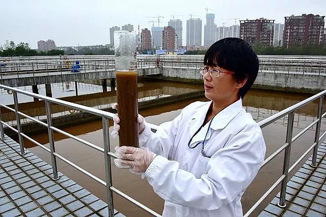 �ۺ��Ȼ��XPAC�S�ҡ����Gɫ���塱����c�ɳ��m�lչ�u�Нu�h