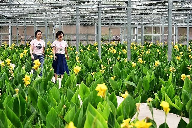 �ۺ��Ȼ��XPAC�S�ҡ����Gɫ���塱����c�ɳ��m�lչ�u�Нu�h