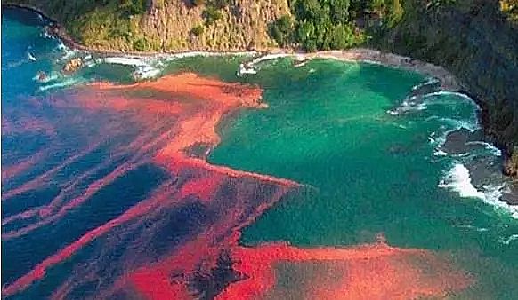 ��ʯ�V�����a(ch��n)�S�ҽ�����������������������B(t��i)���������B(t��i)�����P�ϵ�