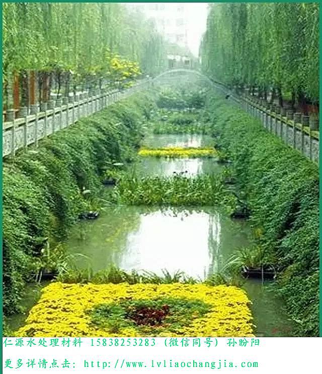 �����V�ϏS�ҽ����ڳ�ˮ�w�����İ˴��`�^