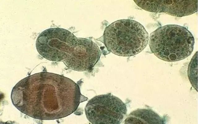 ��ĭ�V��V��EPS�S�ҹ��Iˮ̎�����g�ۻ����y���ܽ^���ƿ̲��ݾ�!