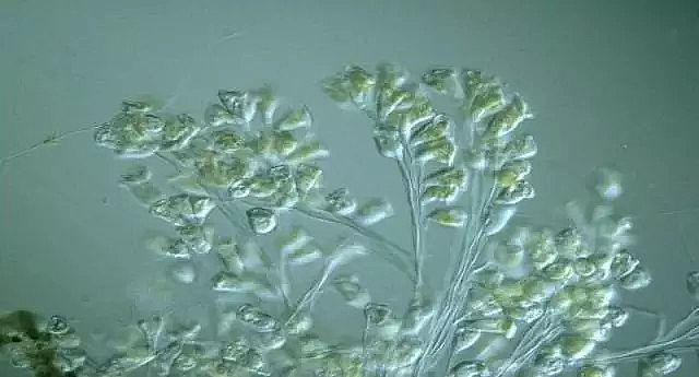 ��ĭ�V��V��EPS�S�ҹ��Iˮ̎�����g�ۻ����y���ܽ^���ƿ̲��ݾ�!