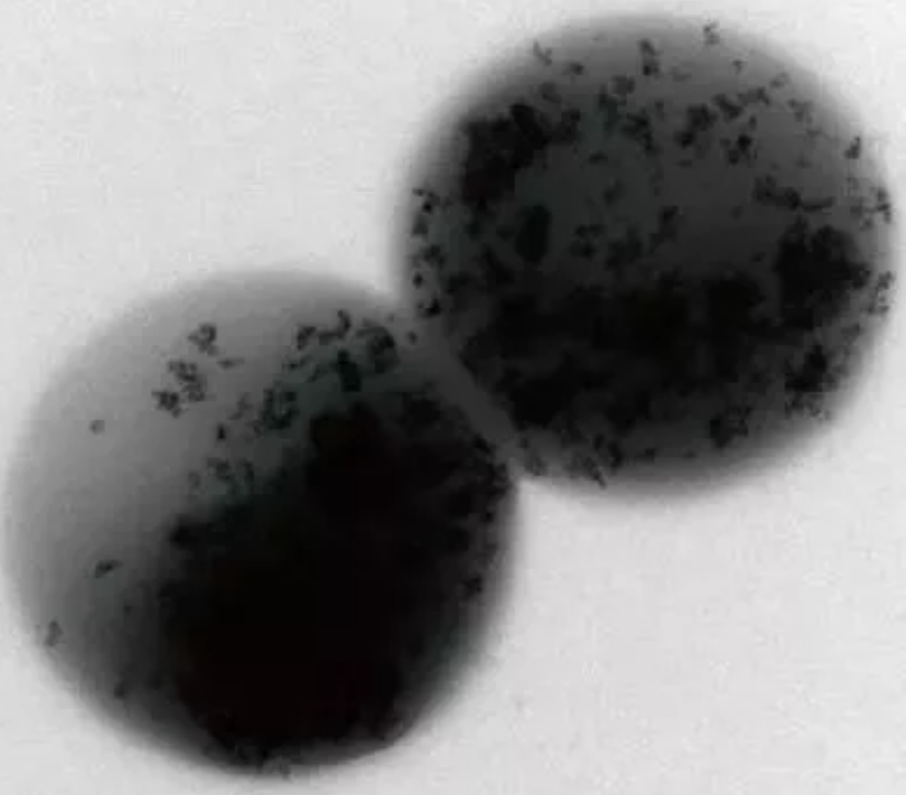 ��ɽ�r����V�����a(ch��n)�S�ұP�c2018�깤�I(y��)ˮ̎���I(l��ng)����¿Ƽ�