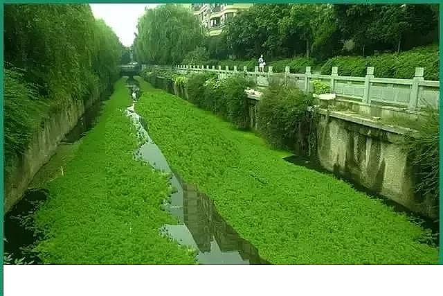 �۱�ϩ����PAM���a�S�ҿ��Y�ӵ������`�^�����������������