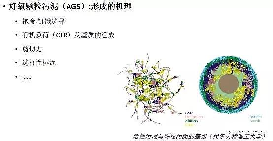 ��ˮ���ۺ��Ȼ��XPAC�S��δ����ˮ̎�����g�İlչ��������