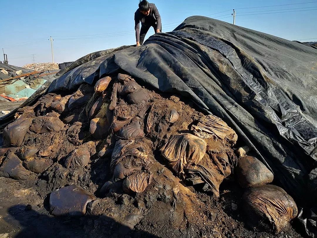 �(y��ng)�x�Ӿ۱�ϩ����CPAM�S���|Ŀ�@�Ĵ������������A��������Ⱦ��(y��n)��!