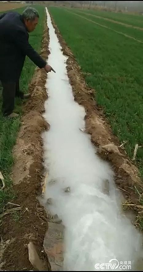 曝氣器廠家河北新樂“牛奶水”澆麥“綠茶水”澆樹,官方介入調查