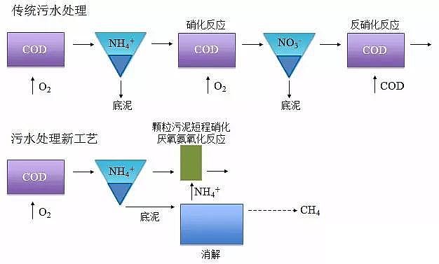 纖維球濾料廠家厭氧氨氧化在全球的發展