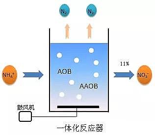 纖維球濾料廠家厭氧氨氧化在全球的發展