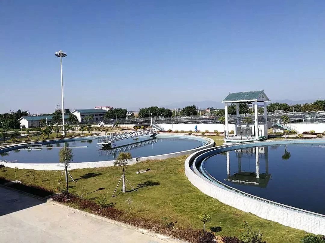 2019�ꇊ�F����ۺ������FPFS���a(ch��n)�S�Ұl(f��)���Բ��VS�Բ�����������������ˮ̎��S��������ƾ�?