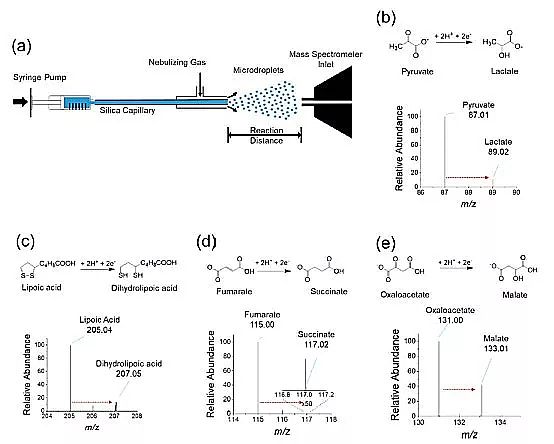 2019�����၆�F�S�����W(xu��)߀�ǿƌW(xu��)?΢�׼�ˮ�ξ��Ǹ�Ч߀ԭ��