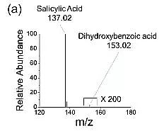 2019�����၆�F�S�����W(xu��)߀�ǿƌW(xu��)?΢�׼�ˮ�ξ��Ǹ�Ч߀ԭ��