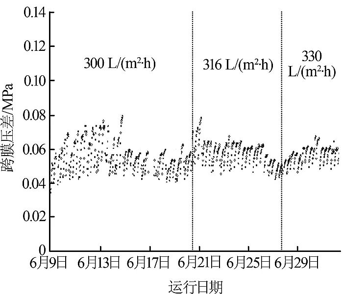 ����ϡ����ɰ�V�ϏS���մɳ��VĤ��늏S���Wˮ̎��ϵ�y�����еđ���