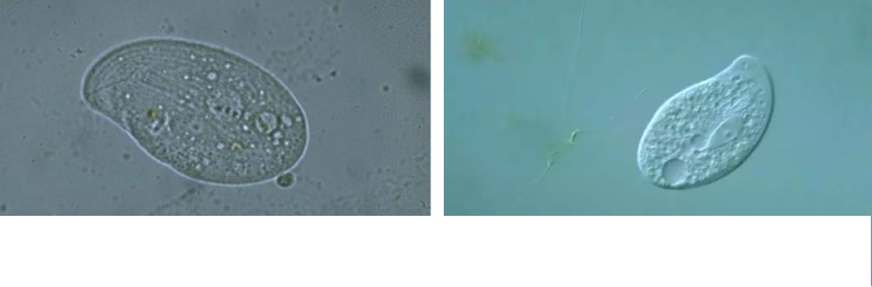 ��(y��u)�|(zh��)�����V�ϏS����ˮ̎��ָʾ��΢�����ȫ!����������