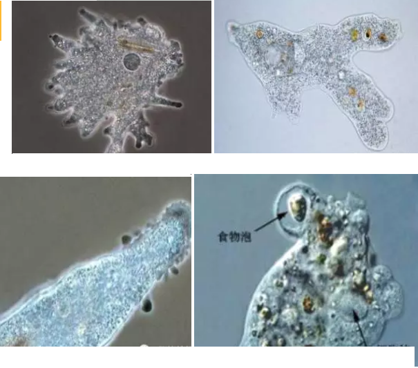 ��(y��u)�|(zh��)�����V�ϏS����ˮ̎��ָʾ��΢�����ȫ!����������