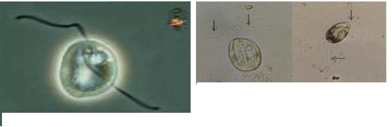 ��(y��u)�|(zh��)�����V�ϏS����ˮ̎��ָʾ��΢�����ȫ!����������