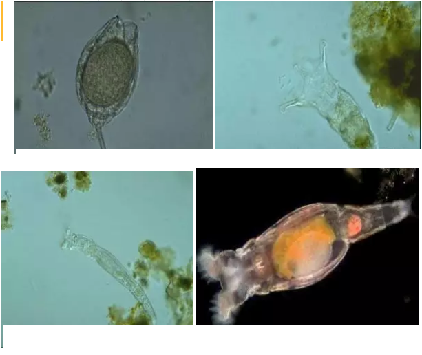 ��(y��u)�|(zh��)�����V�ϏS����ˮ̎��ָʾ��΢�����ȫ!����������