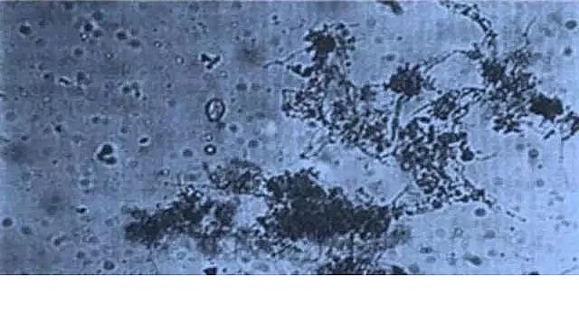 ��(y��u)�|(zh��)�����V�ϏS����ˮ̎��ָʾ��΢�����ȫ!����������