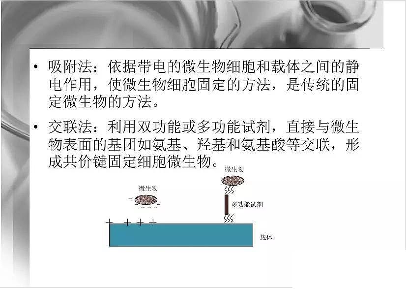 2020�����w�������ϏS��΢����̶����۰����d�w�о�ppt�n��