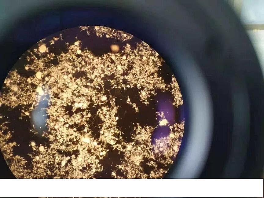 2020��ۺ��Ȼ��FPAFC���a(ch��n)�S����������ϵ�y(t��ng)��Ӱ�