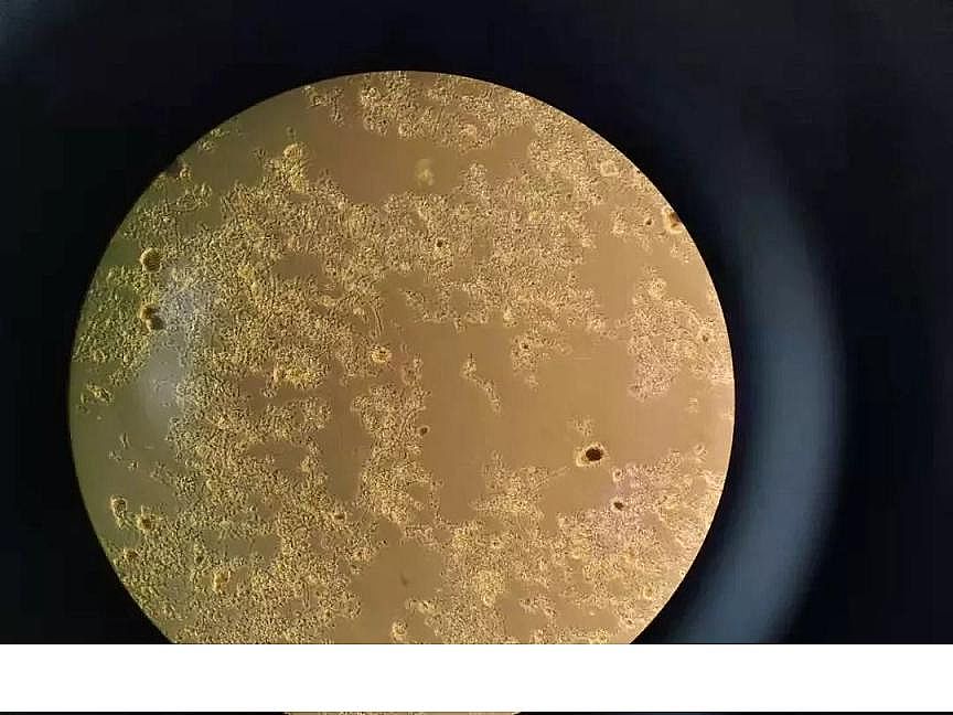 2020��ۺ��Ȼ��FPAFC���a(ch��n)�S����������ϵ�y(t��ng)��Ӱ�