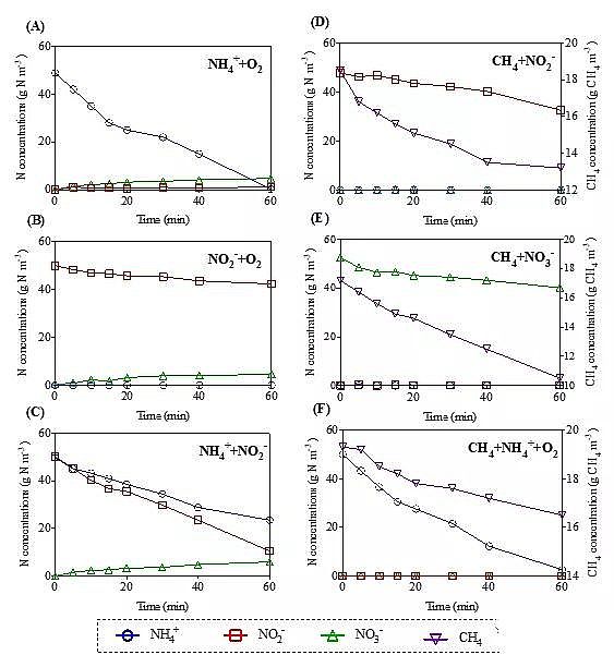2020���ؚ������a(ch��n)�S(ch��ng)��һ��ʽ��ȫÓ���¼��g(sh��)PNAM���̳�����+����������+������������