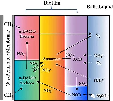2020���ؚ������a(ch��n)�S(ch��ng)��һ��ʽ��ȫÓ���¼��g(sh��)PNAM���̳�����+����������+������������