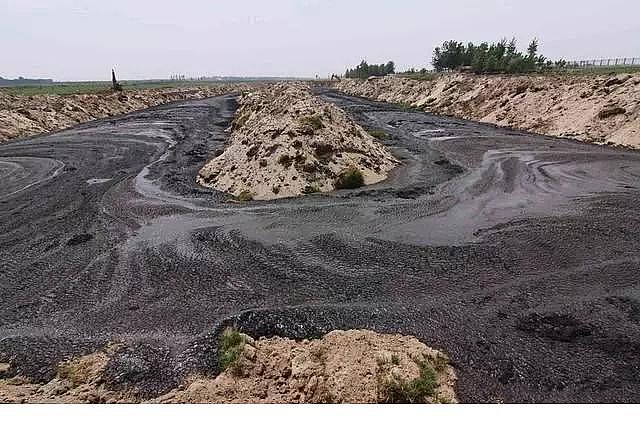 2020����ĭ�V��V��EPS�S�ұ��l!2020�� �����o����̎���Ј�Ҏģ������