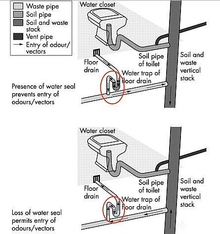 ��Ч�Y(ji��)���Ȼ��X�S���P(gu��n)ע��ˮϵ�y(t��ng)���Д���йڠ�������ġ��[�Ρ�;�����_���Ӽҽ���