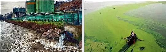 ��Դˮ̎�����Ϲ��w���ׄ����a(ch��n)�S���к��׏Uˮ�YԴ������