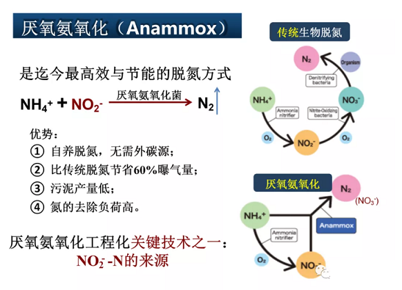 2020����w���ׄ��S����ˮÓ�������о������M(j��n)չ