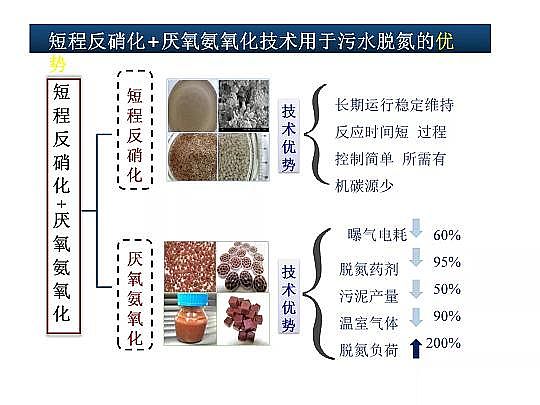 2020����w���ׄ��S����ˮÓ�������о������M(j��n)չ