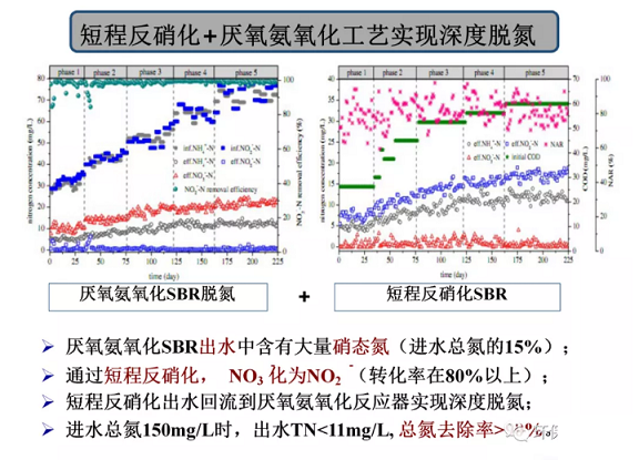 2020����w���ׄ��S����ˮÓ�������о������M(j��n)չ