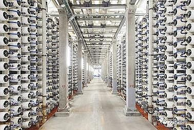 ��Ҏ(gu��)�񷴛_ϴ�Vñ���a(ch��n)�S��2020��ȫ�򷴝B͸Ĥ�Ј�(ch��ng)�F(xi��n)���c�l(f��)չǰ������ �Ї�(gu��)����Ҫ�Ј�(ch��ng)֮һ