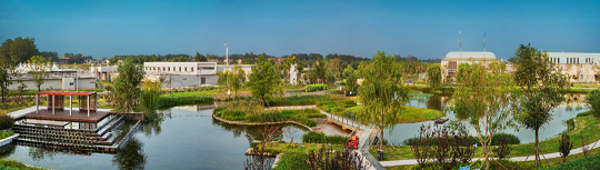 �h(hu��n)�������ɽ�r�V��8-16mm���a(ch��n)�S���Ї�(gu��)��ˮ̎������S��Ώĉ�(m��ng)�뵽�I(y��)?