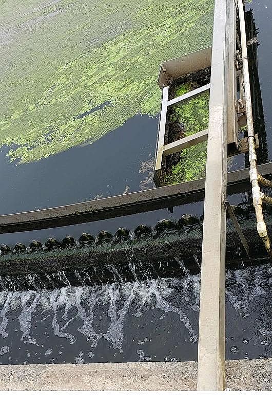 ��ĭ�V��V��EPS1-2mm���a(ch��n)�S��MBR���ﷴ��(y��ng)�����\(y��n)�й���