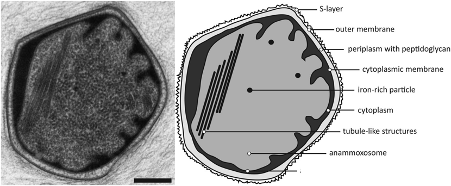 ��Ҏ(gu��)���F̼΢늽��������a(ch��n)�S�҅���������һ���P(gu��n)�ڕr�g�����ĵĹ���- ��43��ǰՄ��