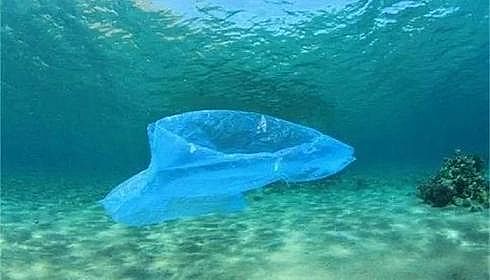 ��Ҏ(gu��)����Қ��V�����a(ch��n)�S��?gu��)׷�犇L��17�Nˮ��Ⱦ��@�N�z�yƽ�_�ġ�ζ�١����Լ���