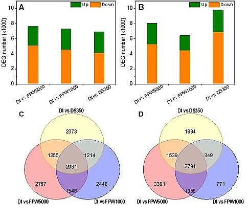 �h(hu��n)����ˮñ���a(ch��n)�S�ҷ����(q��)�����B͸̎��퓎r���_�ɏUˮ�����ڹ��