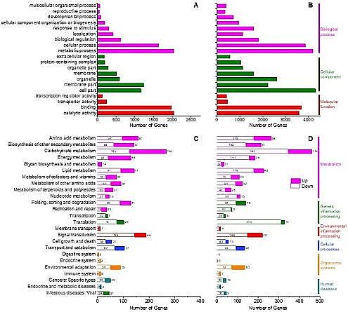 �h(hu��n)����ˮñ���a(ch��n)�S�ҷ����(q��)�����B͸̎��퓎r���_�ɏUˮ�����ڹ��