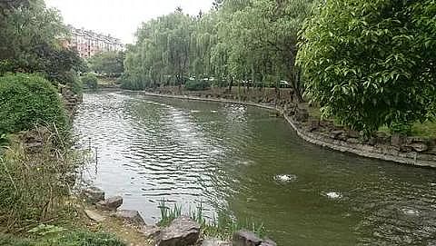 �h(hu��n)���ؚ����S�ҳ��кڳ���Ⱦ�ӵ�����ԓ��ô����?