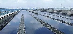 ����Ҭ������̿���a�S����x���½�5��ˮ�S?�s�o����ʲô��r!