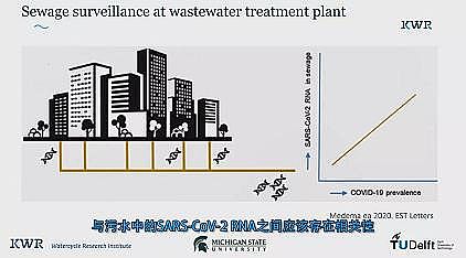 ���ͽM���������a(ch��n)�S�Һ��m��������������W(xu��)��COVID-19�r(sh��)�ڵ�ˮ�c�����l(w��i)����ȫ
