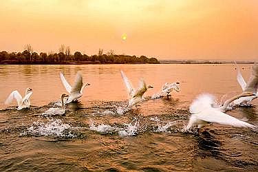 ��Ʒ�|�������������c���a�S�������ذ����h���_��ȫ�����M�S�Ӵ��o������