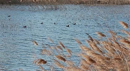 ��Ʒ�|�������������c���a�S�������ذ����h���_��ȫ�����M�S�Ӵ��o������