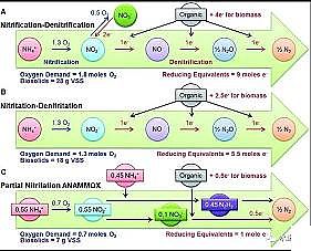 �h���F̼΢늽����ϏS���������Ӷ̷̳�����-����������Ҏ���������о�
