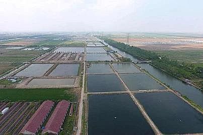 ��ʽ���w�������ϏS�����B���B��βˮ�������A����������Ҧ̽��ˮ�a�Bֳ�Gɫ����֮·